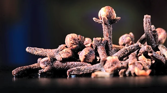 Are There Any Benefits Of Regularly Drinking Clove Water? Expert Debunks Social Media Trend