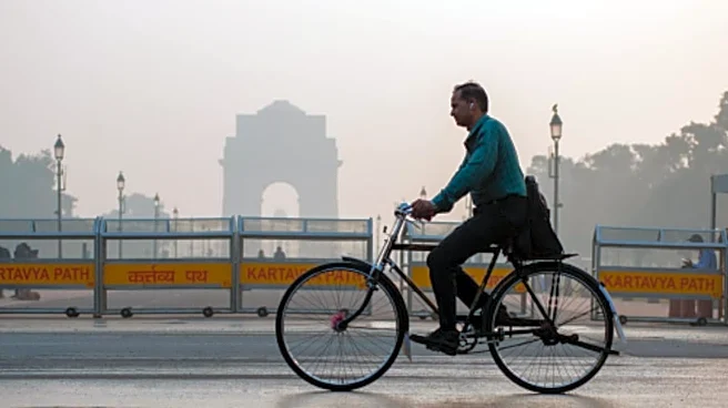 Tips To Keep Your Lungs Healthy During Winter Smog In Delhi-NCR