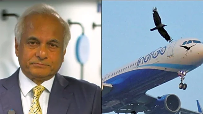 IndiGo To Involve External Technical Experts, Chairman Denies 'Engineering' Aviation Crisis