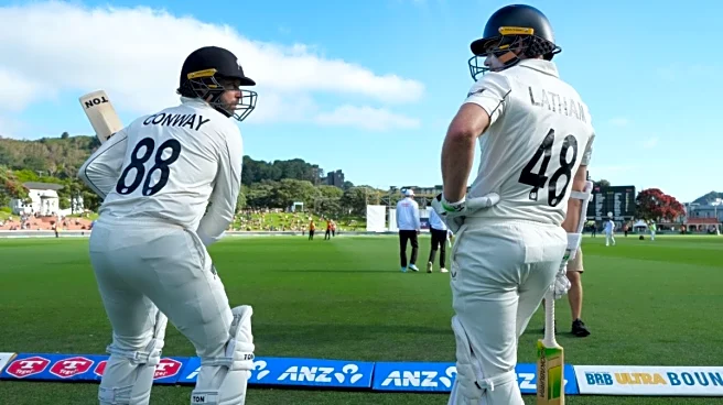 New Zealand Vs West Indies Live Cricket Score 2nd Test Day 2: Follow Scorecard And Match Action From Wellington