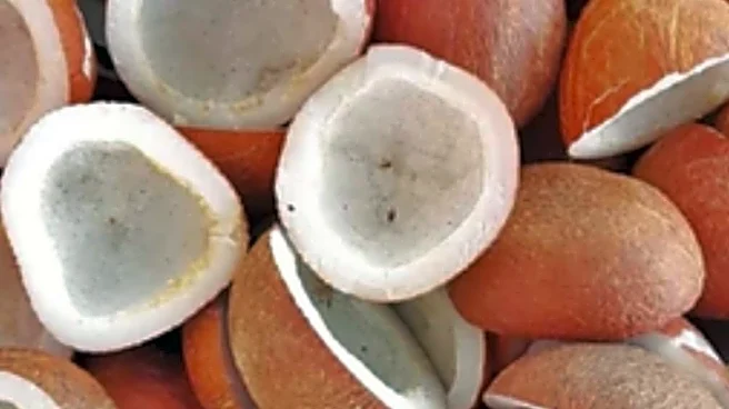 Cabinet Hikes Coconut MSP By Up To Rs 445 Per Quintal For 2026