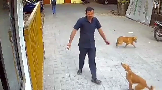 Mumbai: Dog Attacks Security Guard Near School Gate, Video Goes Viral