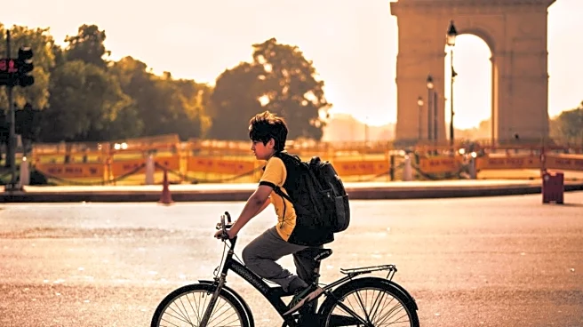 Social Media Loves Vitamin D3: Expert Share What You Need To Know About It