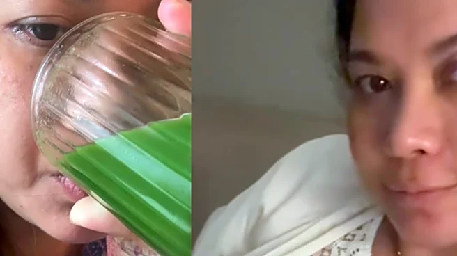 Lin Laishram Shows Difference Between Pinterest Vs Real-Life Pregnancy: See The ‘Mood Board’