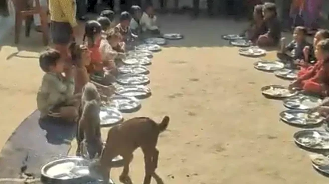 Goats Seen Eating Mid-Day Meal Alongside Children In Madhya Pradesh School, Probe Ordered
