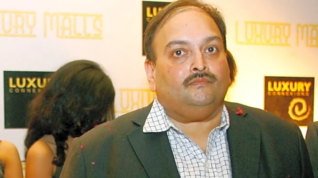 'No Risk Of Persecution': Belgium's Top Court Clears Way For Mehul Choksi's India Return