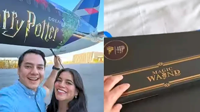 Harry Potter’s Magic Takes To The Skies With Themed-Aircraft — Yes, You Can Fly Too, Check Routes, Where To Buy Tickets