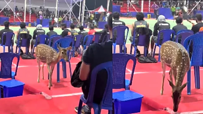 ‘Just Chennai Thing:’ Deer Casually Shows Up At IIT Madras Basketball Game — ‘JNU Aaiye, Nilgai Saath Main Khelega’