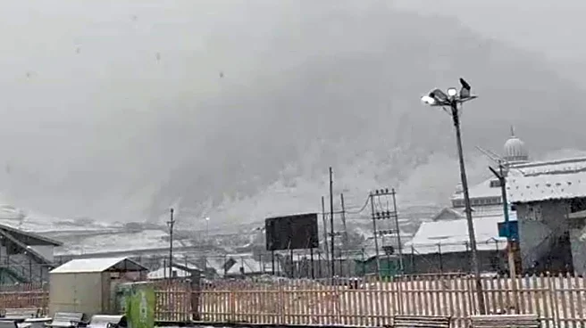 J&K: Sonamarg Witnesses Fresh Spell Of Snow, Turns Into White Wonderland | Watch