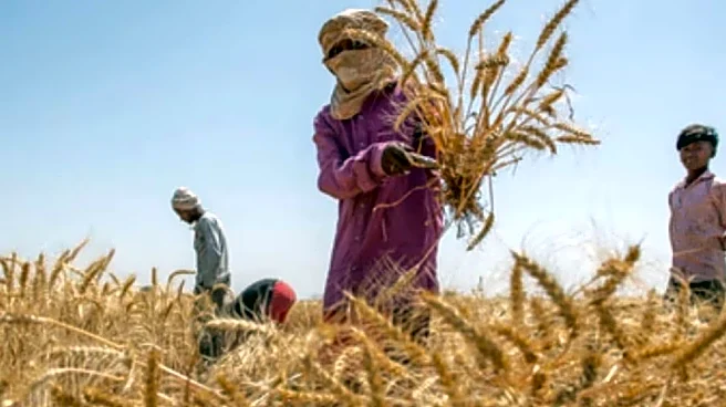 Opinion | From Farms To The Future: How Organic Food Can Build Viksit Bharat 2047