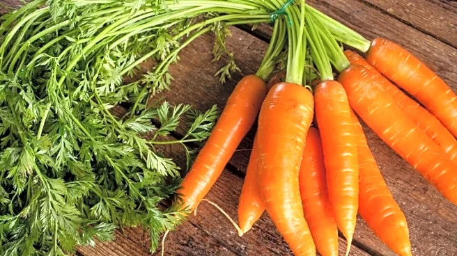 These 4 Simple Ways To Drink Carrot Juice Daily Can Boost Your Winter Health