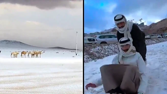 Saudi Arabia Sees First Northern Snow In 30 Years, Netizens Share Videos As Desert Turns White