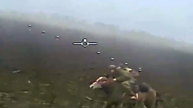 Ukraine Drone Strikes A Russian Soldier On Horse Back | Video