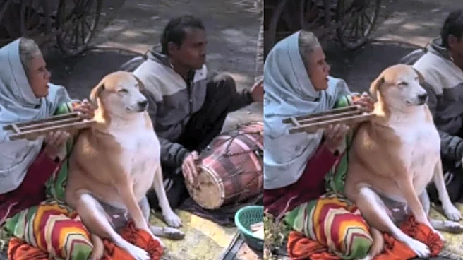 ‘Dogesh Bhai’ Sits Calmly Next To Woman And Enjoys Road-Side Bhajan Moment: ‘Satsang Main Magan Hai’