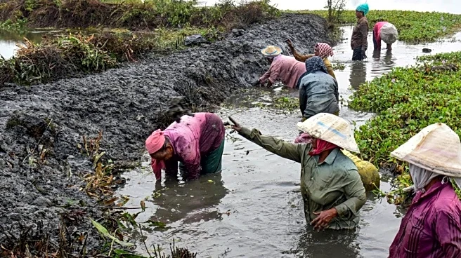 Opinion | From Right To Guarantee: Rethinking Rural Employment After MGNREGA