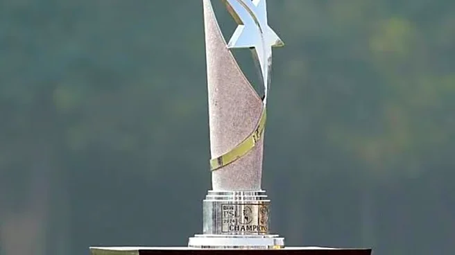 Unique Twist In PSL: Mohsin Naqvi's PCB To Take Control Of Multan Sultans