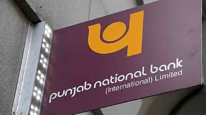 Punjab National Bank Shares In Focus After Reporting Rs 2,434 Crore Borrower Fraud To RBI