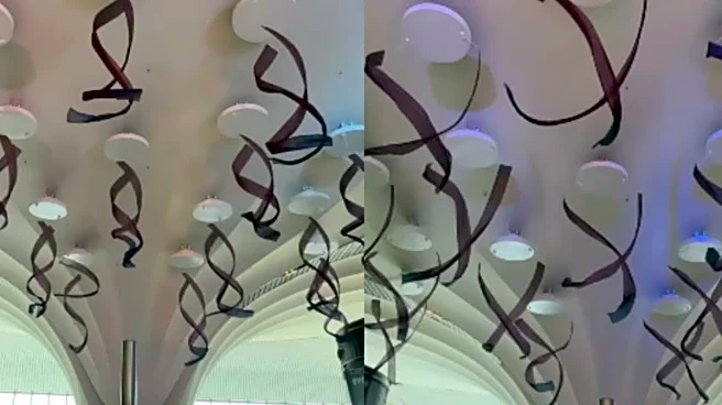 Navi Mumbai Airport Turns Waiting Time Into A Show With Dancing Curtains: ‘Can Answer Why I Missed Flight Now’