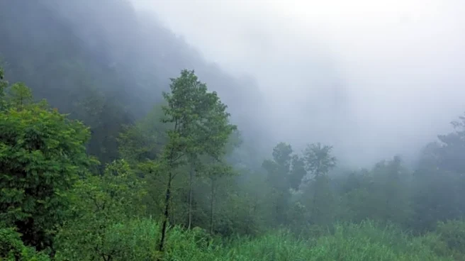 Bengaluru Braces For Colder Nights As IMD Forecasts Continued Temperature Drop Across Karnataka