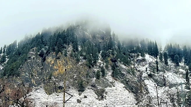 Snow Famine In Uttarakhand: Why Are The Mountains Still Bare And Dry This Year? | Explained