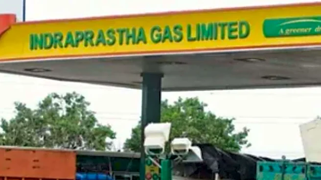Indraprastha Gas Limited Reduces Domestic PNG Prices In Delhi-NCR | Check New Rates