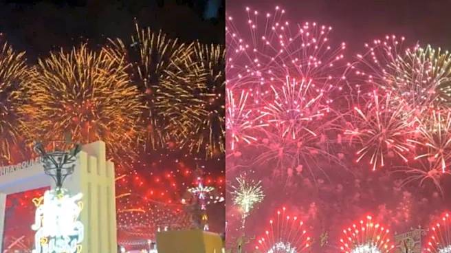 6,500 Drones For 62-Minute Firework: Abu Dhabi's New Year Celebrations Breaks World Record | Watch