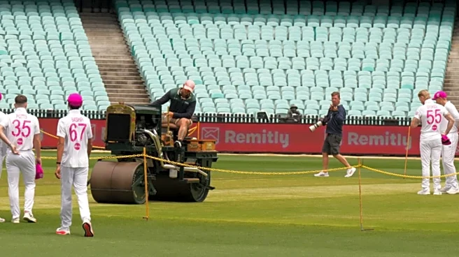 Sydney Pitch Curator Bats For 'Even Surface' In 5th Test: 'Don't Want It To Not Have Any...'