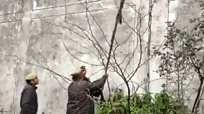 Two Inmates Escape After Climbing Kannauj Prison Walls With Make-Shift Rope | Video