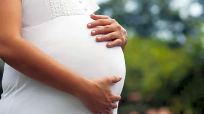 The Modern Mom’s Challenge: How Busy Lifestyles Affect Pregnancy Nutrition