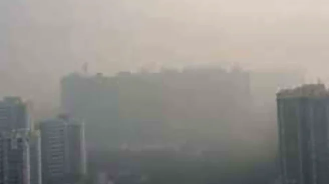 Noida Entrepreneur Says Clean Air, Hygiene And Safety Feel Like ‘Luxuries’ In India