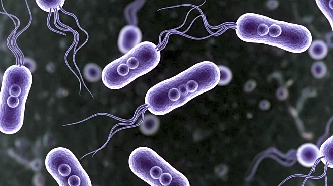 E. Coli Found In Bhopal Groundwater Amid Indore Water Contamination Deaths