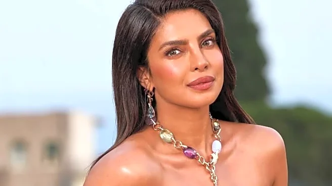 Priyanka Chopra Being Considered For Iconic Villain Rita Repulsa In Power Rangers Series?