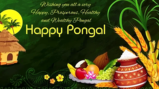 Happy Pongal 2026: Top Images, Quotes, Wishes, Messages, Greetings, And Pictures