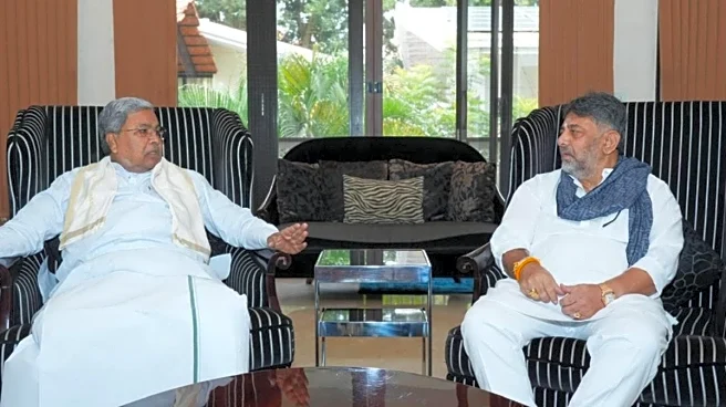 'Even If Efforts Fail...': DK Shivakumar Shares Cryptic Post Amid Tussle Over CM Post In K'taka