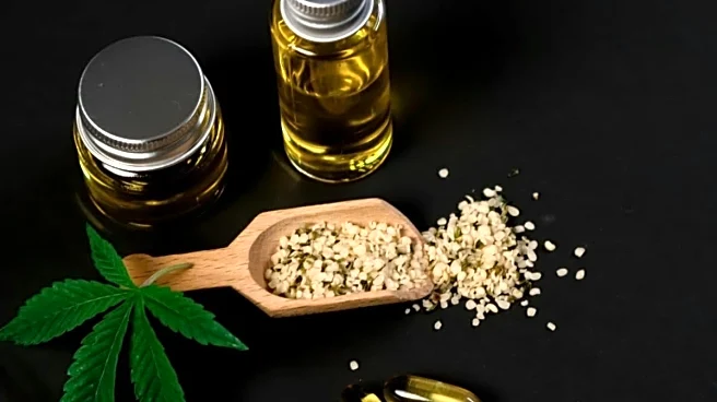 Anant Ambani’s Trainer Reveals Cheap Sources Of Protein: Hemp Seeds, Dal & More