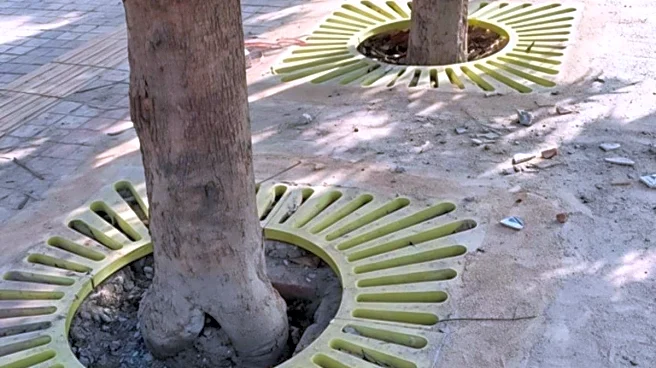 Lucknow’s Slatted Tree Grates Trend: Netizens Urge More Cities To Adopt, Hunt Officer Behind ‘Dubai/Thailand Trips’
