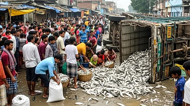 Bihar: Class 7 Student Killed In Road Accident, Bystanders Loot Fish From Truck