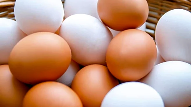 Doctor Share 4 Food Types That Can Naturally 'Mimic Ozempic' & Help In Weight Loss