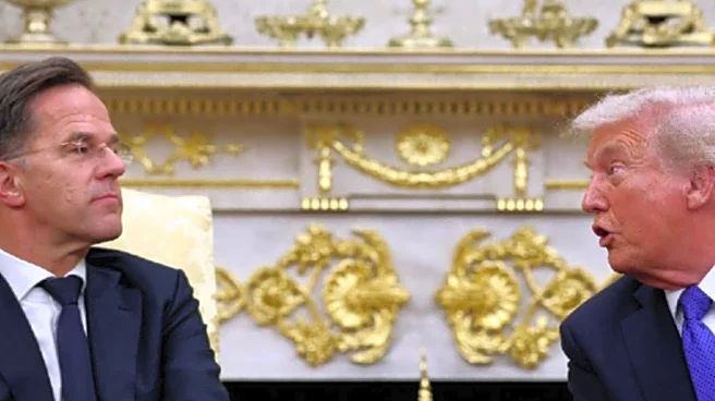 NATO Chief Rutte Speaks With Trump On Greenland, Arctic As Denmark Warns Alliance At Stake