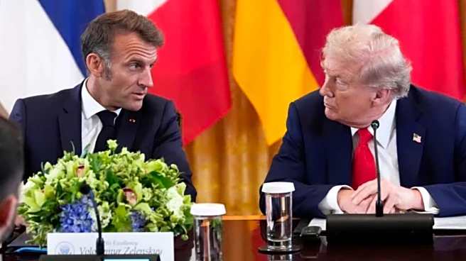 'If There Were Fire Someday, Better Burn The House Now': France Mocks US Over Greenland Push