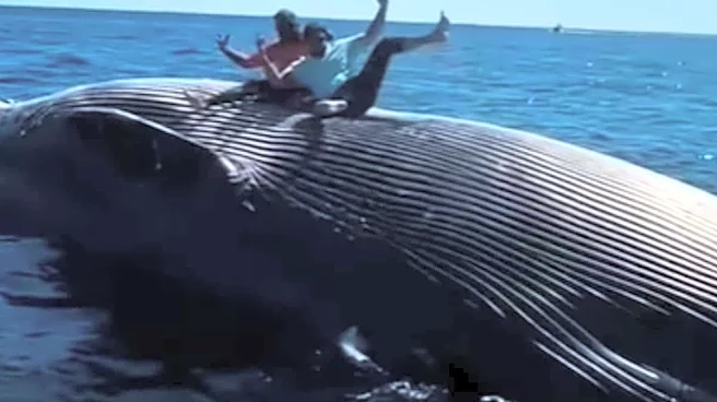 ‘Drunk’ Fishermen Climb Onto Floating Dead Whale, Strike ‘Yo Yo’ Pose For Camera: ‘Lucky It Didn’t Explode’