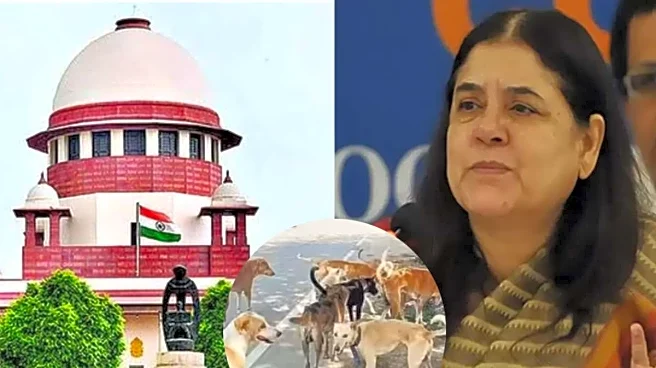 ‘Committed Contempt’: Supreme Court Slams Maneka Gandhi On Remarks Against Stray Dog Order