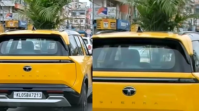 Kerala Man Uses Yellow Tata Sierra’s Sunroof To Carry Palm Plant, Internet Asks ‘Is That A Pineapple?’