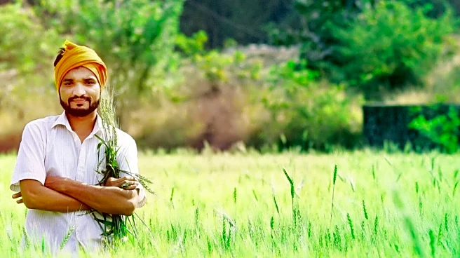 Delhi's Farmers May Now Boost Income By 'Cultivating' Solar Plants Without Land-Use Change