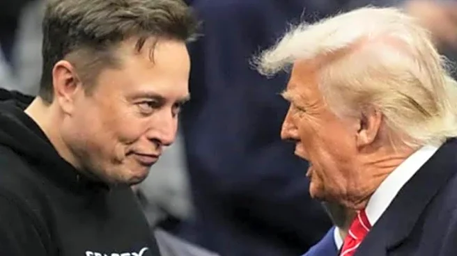 'Peace Or Piece Of Greenland?': Elon Musk's Wordplay Jab At Trump's Gaza Board