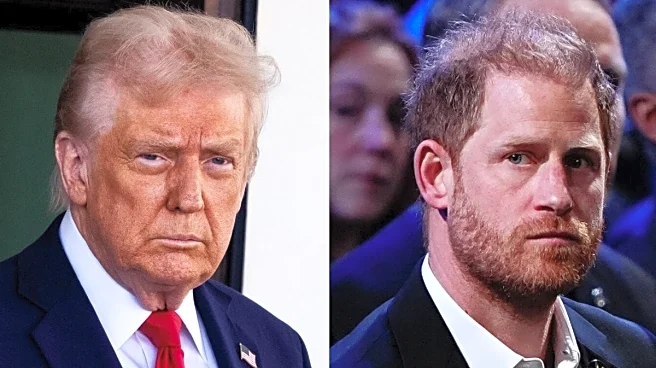 Royal Rebuttal: 'Warrior Prince' Harry Challenges Trump's Afghanistan-NATO Narrative