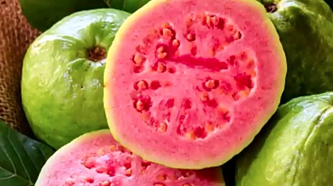 Akbar Allahabadi’s ‘Amrood’ Ode Proves Prayagraj Is A City Of ‘Khaane Ke Shaukeen Log’ — Facts Back It