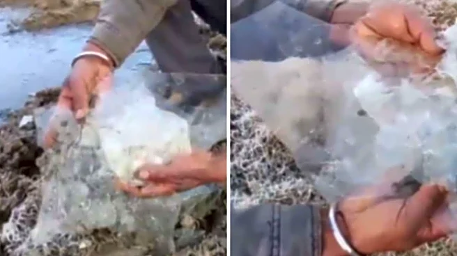 Ice Sheets, Frozen Dew: Biting Cold Grips Rajasthan’s Mount Abu As Temperature Dips To -7°C