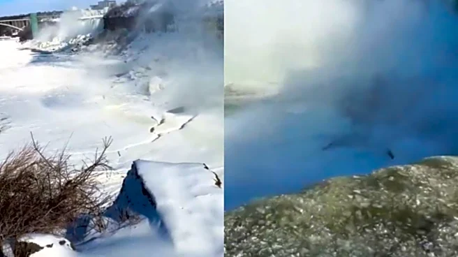 Niagara Falls Turns Icy As Polar Vortex Freezes Mist In Minus 20°C | Watch