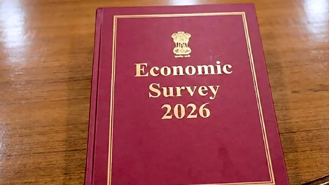 Economic Survey 2026 Date And Time: When And Where To Watch Live, How To Download PDF